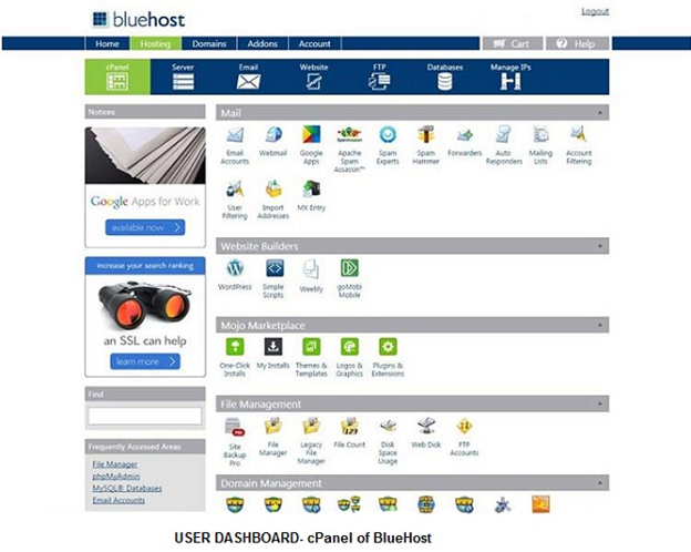 BlueHost Web Hosting cPanel