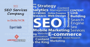 Best SEO Services Company in Delhi NCR – Expert Guide 2017