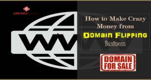 How to Make Crazy Money from Domain Flipping Business