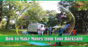 How to Make Money from Your Backyard