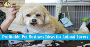 7 Profitable Pet Business Ideas for Animal Lovers