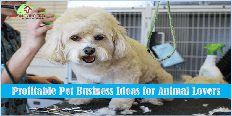 7 Profitable Pet Business Ideas for Animal Lovers