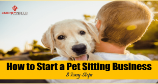 How to Start a Pet Sitting Business