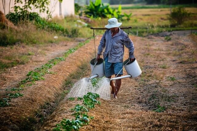 working on organic farms