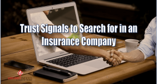 Trust Signals to Search for In an Insurance Company