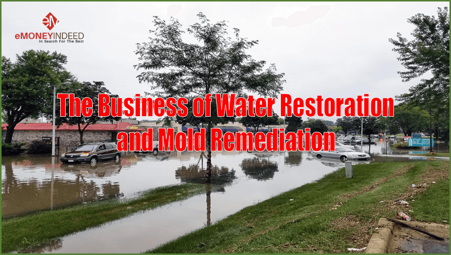 Business-of-Water-Restoration-and-Mold-Remediation