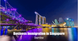 Business-Immigration-in-Singapore