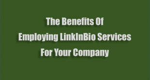 Benefits-Of-Employing-LinkInBio-Services-For-Your-Company