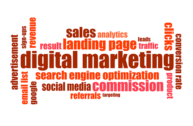 SEO is vital for your business digital  growth